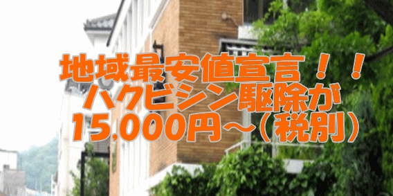 　地域最安値宣言！！ 　ハクビシン駆除が 　15,750円～（税込） 