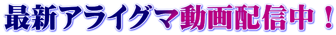 最新アライグマ動画配信中!